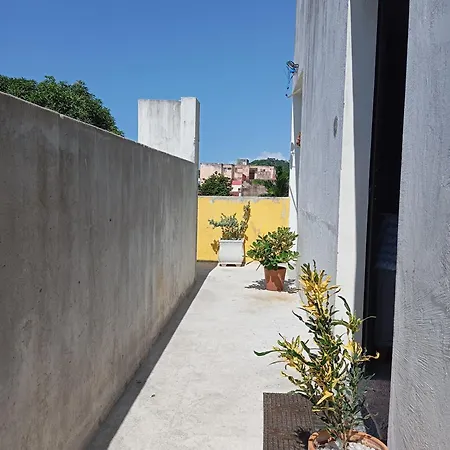 Apartamento Aconchegante Em Olinda Exterior photo